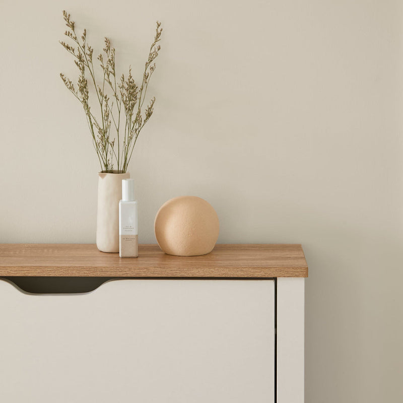 meuble à chaussures fermé avec décoration minimaliste sur le dessus